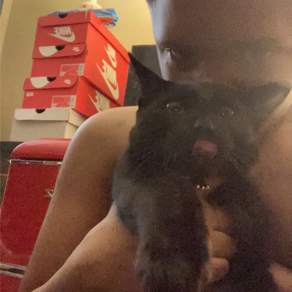 Meet your Posher, Strw luvr - Picture 5 of 5